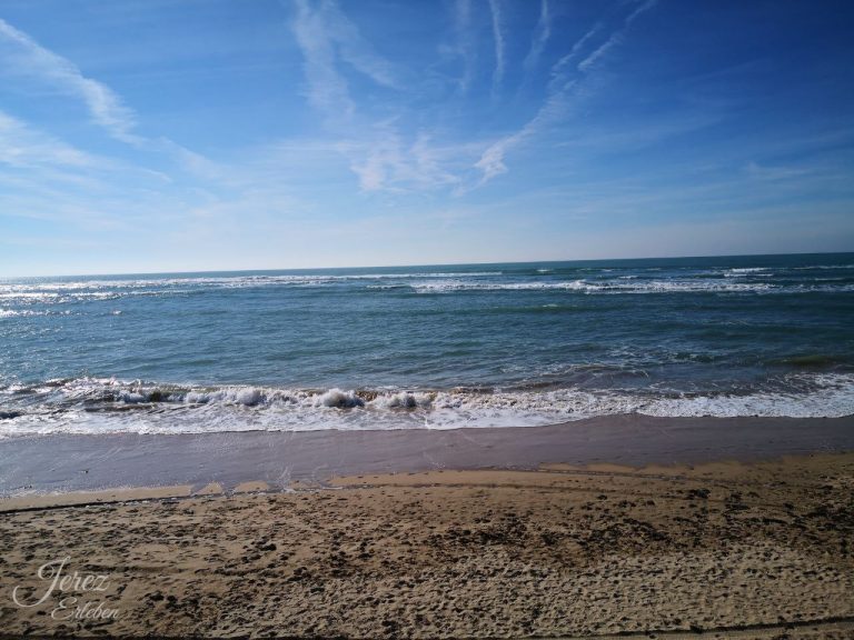 Startseite Ausflüge Jerez de la Frontera – Costa de la Luz
